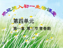 《第三节　青春期》PPT课件1-人教版生物七年级下册