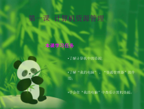 第1课《计算机资源管理》PPT课件5-七年级下册信息技术【川教版】