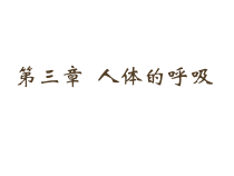 《第二节　发生在肺内的气体交换》PPT课件2-人教版生物七年级下册