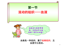 《第一节　流动的组织——血液》PPT课件4-人教版生物七年级下册