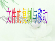 第5课《文件复制》PPT课件7-七年级下册信息技术【川教版】