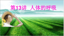 《科学·技术·社会　“森林浴”、有氧运动和高压氧治疗》PPT课件1-人教版生物七年级下册
