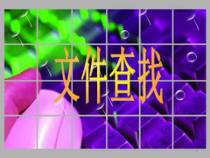 第6课《文件查找》PPT课件3-七年级下册信息技术【川教版】