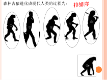 《科学家的故事　我国科学家与北京猿人》PPT课件2-人教版生物七年级下册