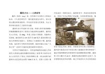 《第一节　人类的起源和发展》补充阅读资料——露西少女-人教版生物七年级下册