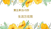 部编版四年级上语文《习作：生活万花筒》优质示范课课件