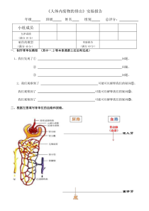 《人体内废物的排出 第一课时实验报告》（课堂练习）-人教版生物七年级下册