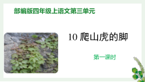 人教版四年级上语文10《爬山虎的脚》第1课时优质示范课课件