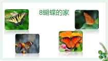 四年级上语文8《蝴蝶的家》公开课课件