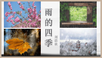 初中部编版七年级初一上册语文《第3课 雨的四季》课件(校内公开课）
