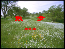 部编版七年级上册语文《散步》课件（定稿；校级公开课）
