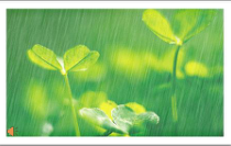 部编版七年级上册语文《雨的四季》课件（定稿；校级公开课）