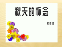 部编版七年级上册语文《秋天的怀念》课件（定稿；组内教研课）