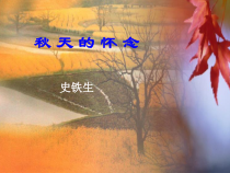 部编版七年级上册语文《秋天的怀念》课件（定稿；校内教研课）