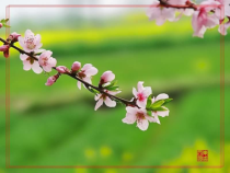 部编版七年级上册语文《春》课件设计（校内公开课）