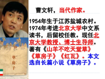 部编版九年级语文上册《孤独之旅》教案课件（定稿）