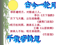 部编版九年级语文上册《水调歌头》课件（定稿）