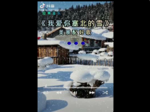 部编版九年级语文上册《沁园春雪》课件（公开课定稿）