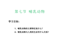 人教版生物八年级上册（课件11份可预览）