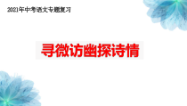 中考语文专题复习《诗歌鉴赏之主旨情感把握》公开课教案+课件+导学案