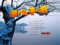部编人教版九年级语文上册《湖心亭看雪》第一课时课件（定稿）