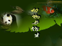 《科学·技术·社会 动物与仿生》PPT课件2-人教版生物八年级上册