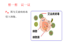 《病毒》PPT课件1-人教版生物八年级上册