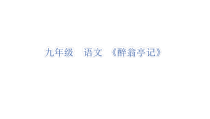 部编版九年级语文上册《醉翁亭记》第1课时课件（定稿）