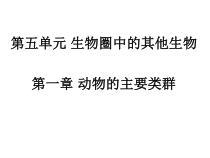 《第一节 腔肠动物和扁形动物》PPT课件2-人教版生物八年级上册