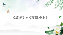 部编版初三语文上册《故乡》第二课时课件（定稿）