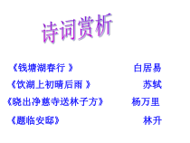 部编版九年级初三语文上册《湖心亭看雪》课件（集体备课定稿）
