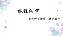 部编版七年级下册第三单元写作《抓住细节》课件（定稿集体备课）