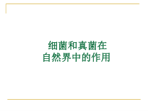 《科学技术社会 以菌治虫》PPT课件1-人教版生物八年级上册