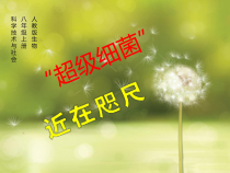 《科学·技术·社会 “超级细菌”近在咫尺》PPT课件8-人教版生物八年级上册