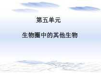 《第一节 腔肠动物和扁形动物》PPT课件1-人教版生物八年级上册