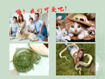 《与生物学有关的职业 兽医师》PPT课件1-人教版生物八年级上册