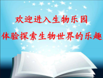 《第二节 线形动物和环节动物》PPT课件1-人教版生物八年级上册