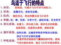 《第七节 哺乳动物》PPT课件1-人教版生物八年级上册