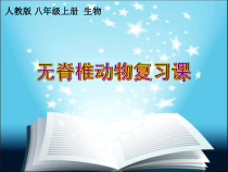 《第一节 腔肠动物和扁形动物》PPT课件3-人教版生物八年级上册