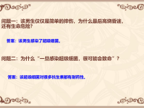 《科学·技术·社会 “超级细菌”近在咫尺》PPT课件6-人教版生物八年级上册
