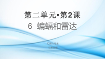 部编版四年级上语文6《蝙蝠和雷达》优质示范课第1课时教学课件