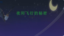 部编版四年级上语文6《蝙蝠和雷达》优质示范课第2课时教学课件