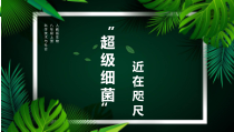 《科学·技术·社会 “超级细菌”近在咫尺》PPT课件4-人教版生物八年级上册