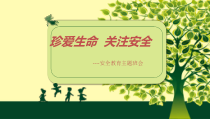 中小学《珍爱生命 关注安全》安全教育主题班会课件