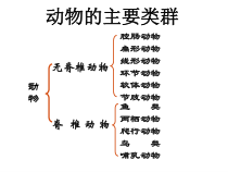 《与生物学有关的职业 养殖专业户》PPT课件2-人教版生物八年级上册