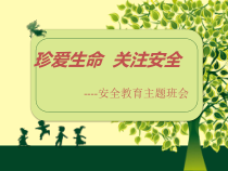 中小学《珍爱生命 关注安全》主题班会课件