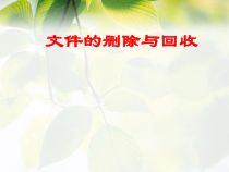 第7课《文件删除与回收》PPT课件9-七年级下册信息技术【川教版】