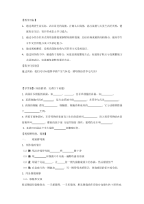 《第三节 真菌》真菌导学案、检测题-人教版生物八年级上册