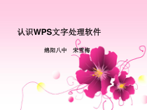 第1课《认识WPS文字处理软件》PPT课件-八年级上册信息技术【川教版】