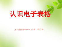 第7课《认识电子表格1》PPT课件4-八年级上册信息技术【川教版】
